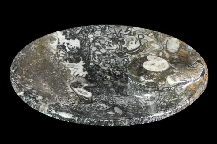 Round Fossil Goniatite Dish #73721